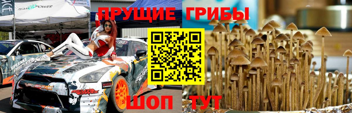 Псилоцибиновые грибы Psilocybine cubensis  Вход с VPN  Зима  Галлюциногенные грибы ЛСД 