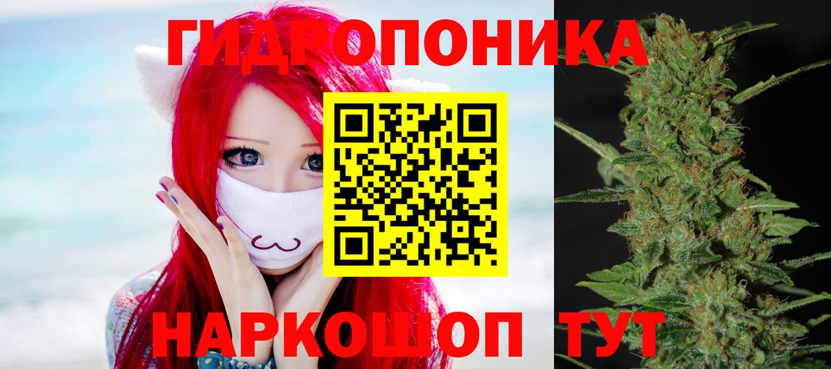 Зима  Бошки Шишки планчик  Вход с VPN  Шишки марихуана VHQ  Шишки марихуана AK-47 